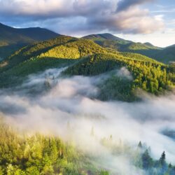 Fog on the green mountains