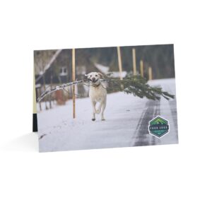 Christmas Cards for Land Sales Companies - Pup with Christmas Branch