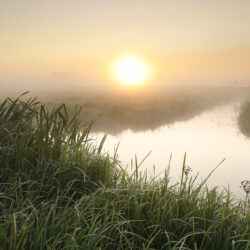 Misty river sunrise