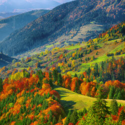 Mountain autumn colors