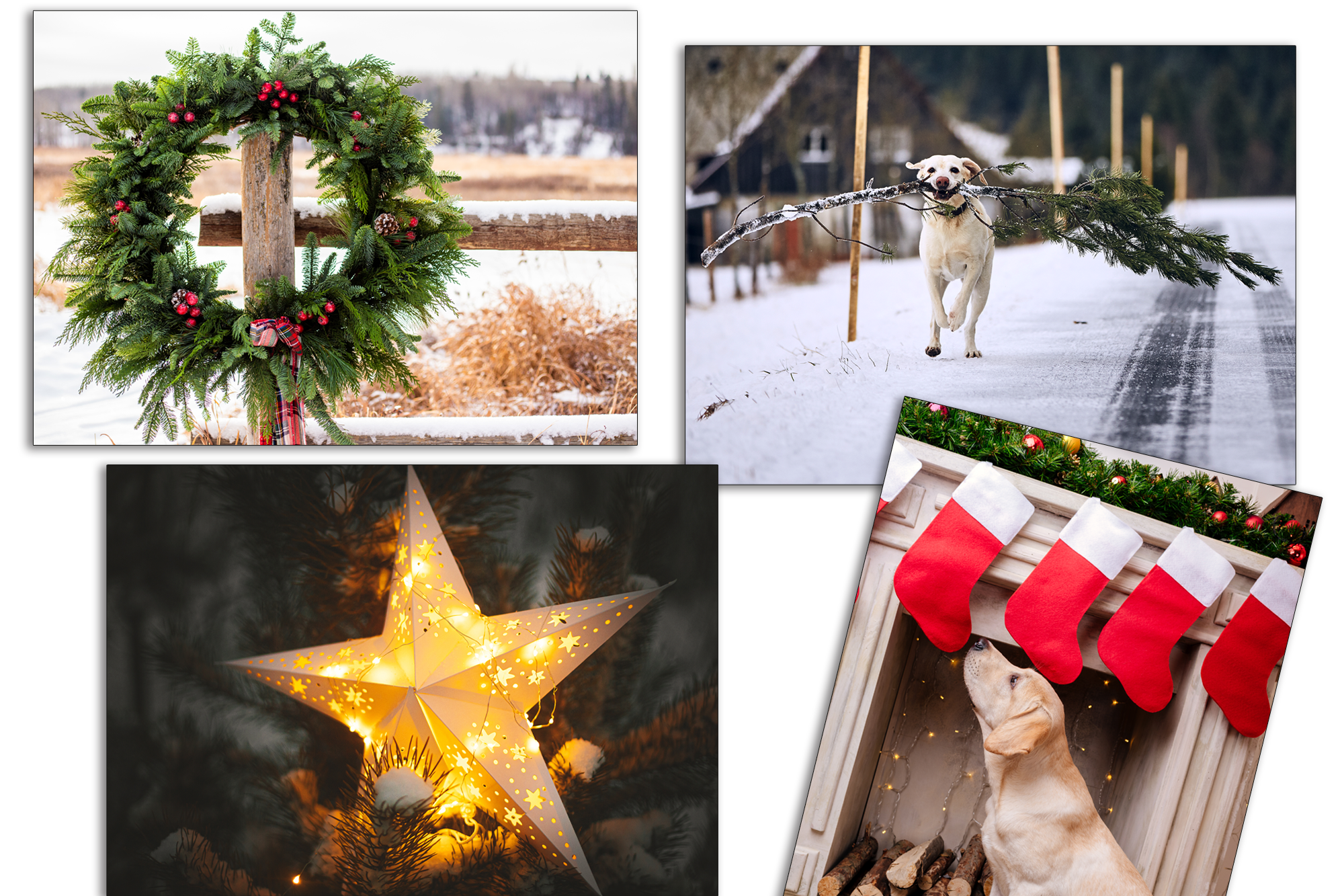 Land Seller Custom Holiday Cards
