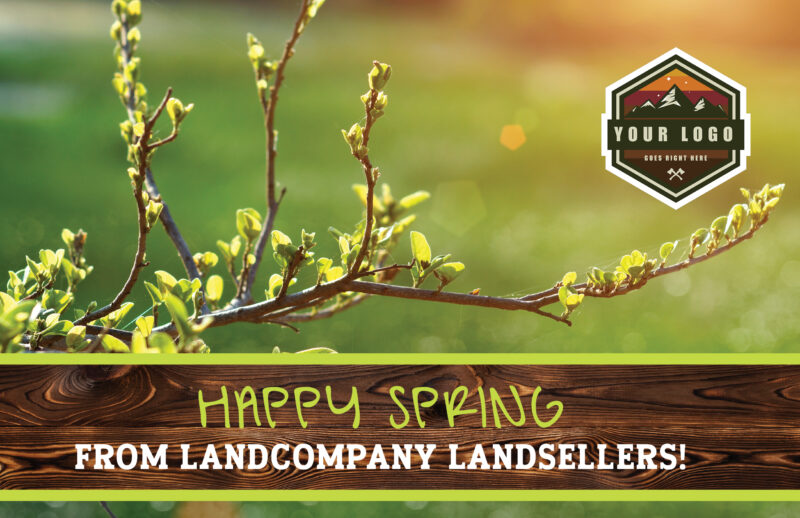 Budding Branch in Spring