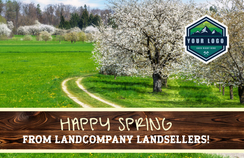 Dirt Road and Cherry Trees