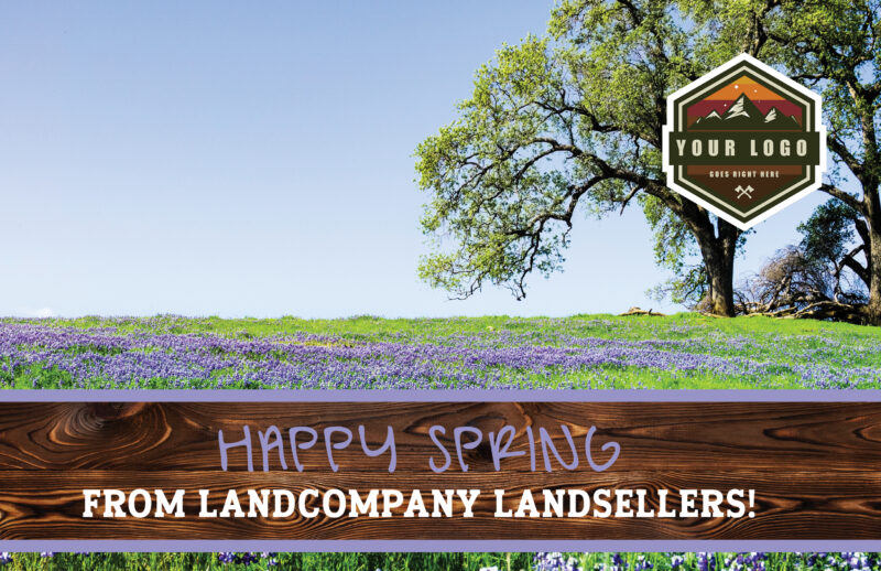 Oak Trees and Purple Wildflowers