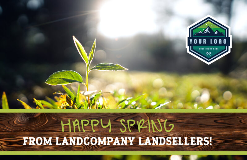 Tree Sprouting in Spring