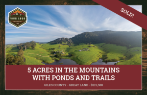 Just Listed New Listing Announcement Postcards for Land Sellers