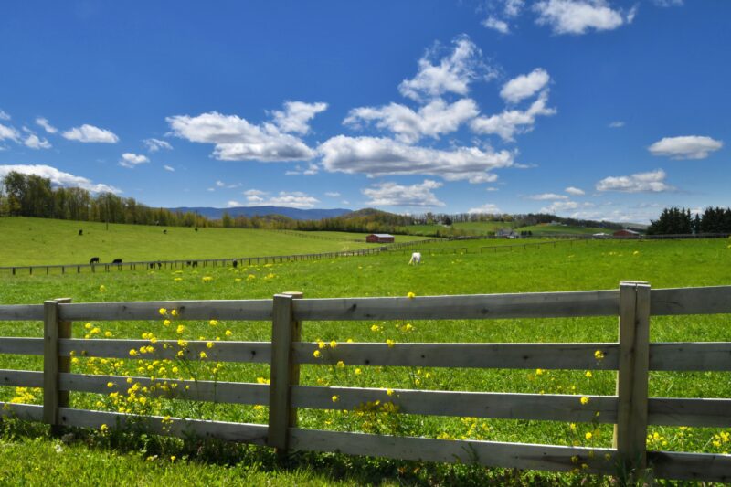 Springtime Farm